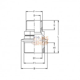 8058152; GEOLINE; Raccord de réduction 1" x 1/2" M/M; pièce detachée