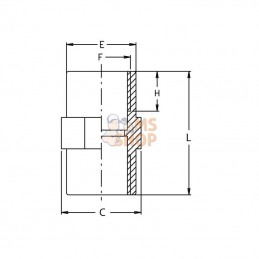 8054351; GEOLINE; Raccord à vis 1 1/2" F/F; pièce detachée