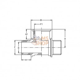 8028401; GEOLINE; Pièce en T 2" M/F; pièce detachée