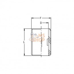 8052251; GEOLINE; Embout mâle 1" M; pièce detachée