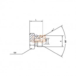 VSZ08; BURNETT & HILLMAN; Bouchon a visser BSP 1/2"; pièce detachée