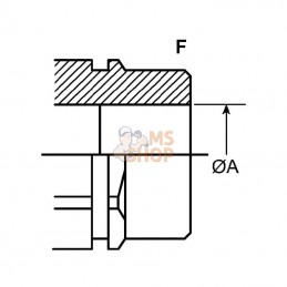 ANV112GASF; FASTER; Coupleur femelle 1"1/2 BSP; pièce detachée