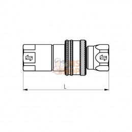 ANV112GASF; FASTER; Coupleur femelle 1"1/2 BSP; pièce detachée