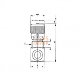 FPBN03001; FLUIDPRESS; Soupape d'accélérateur M-04-PV-P-V-1/4; pièce detachée