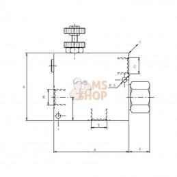 FPRFU12SG; FLUIDPRESS; Contrôle de débit Acier 1 voies FPRFU 1/2 S G; pièce detachée