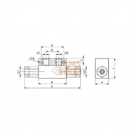 FPD10001; FLUIDPRESS; Clapet antiretour pil. 1/2 BSP; pièce detachée