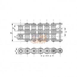 RS12B2; TSUBAKI; Chaîne à rouleaux double 12B2; pièce detachée