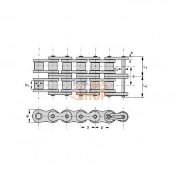 RS602; TSUBAKI; Chaîne à rouleaux ASA60 double; pièce detachée