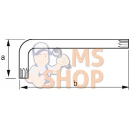 457501;IRIMO;Clés mâles pour vis TORX® brunies;pièce détachée