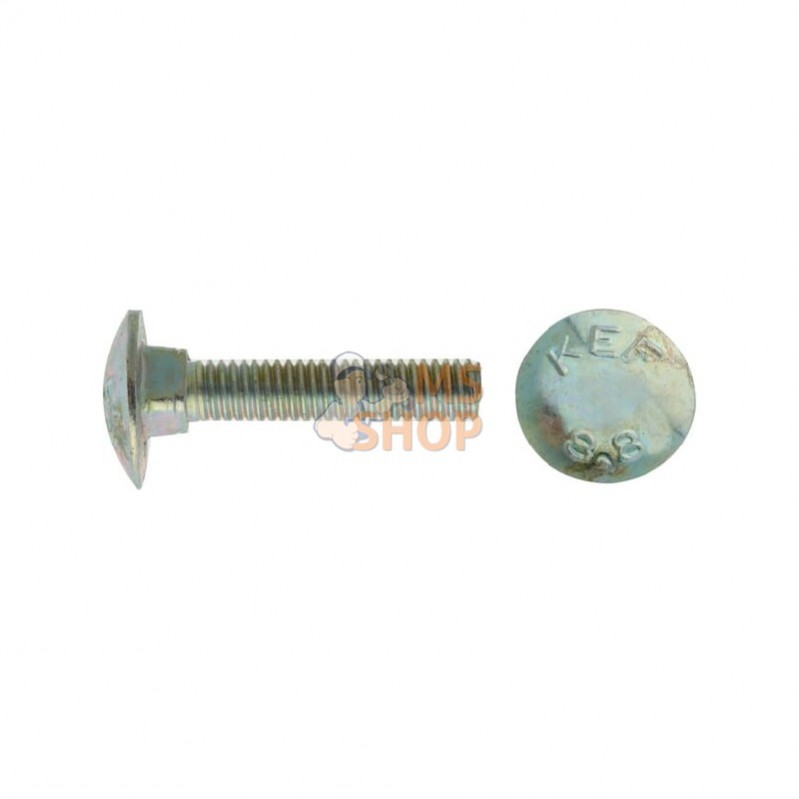 F01060016R; GASPARDO; Screw 6X30 5732 4.6 ZN; pièce detachée