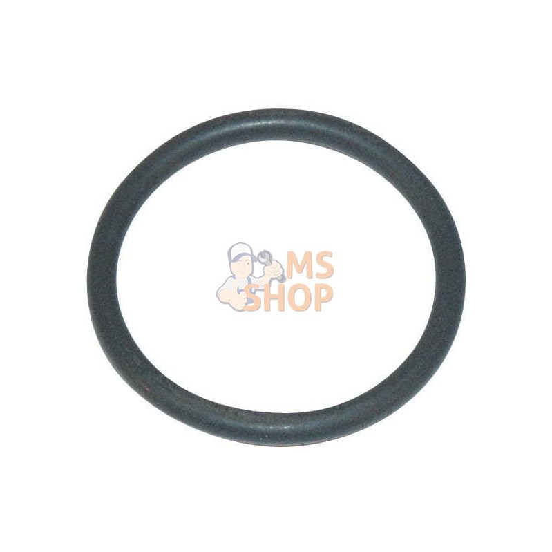 Joint Viton | ARAG Joint Viton | ARAGPR#610585