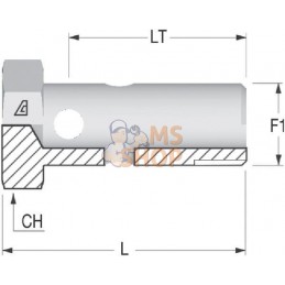 Boulon banjo M16 | ALFAGOMMA Boulon banjo M16 | ALFAGOMMAPR#784570