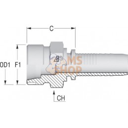 Embout M NS-DN32-38S-M52x2 | ALFAGOMMA Embout M NS-DN32-38S-M52x2 | ALFAGOMMAPR#749701