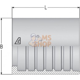 Jupe à sertir Ø19x26,5mm DN8 acier / zingué Alfagomma | ALFAGOMMA Jupe à sertir Ø19x26,5mm DN8 acier / zingué Alfagomma | ALFAGO