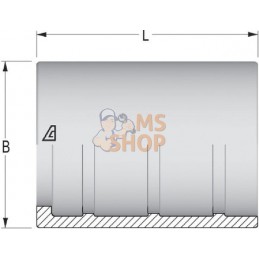 Jupe à sertir Ø60x61,5mm DN40 acier / zingué Alfagomma | ALFAGOMMA Jupe à sertir Ø60x61,5mm DN40 acier / zingué Alfagomma | ALFA