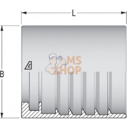 Ferrule H1200204-060000 | ALFAGOMMA Ferrule H1200204-060000 | ALFAGOMMAPR#750448