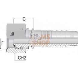 Embout F NS-DN32-1.1/4"BSP | ALFAGOMMA Embout F NS-DN32-1.1/4"BSP | ALFAGOMMAPR#749751