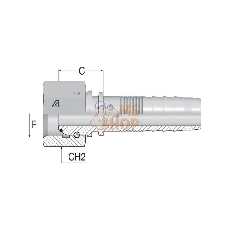 Embout F NS-DN32-1.1/4"BSP | ALFAGOMMA Embout F NS-DN32-1.1/4"BSP | ALFAGOMMAPR#749751