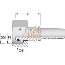 Embout F NS-DN25-25S-M36x2 | ALFAGOMMA Embout F NS-DN25-25S-M36x2 | ALFAGOMMAPR#749775