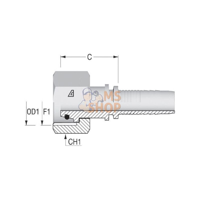 Embout F NS-DN25-25S-M36x2 | ALFAGOMMA Embout F NS-DN25-25S-M36x2 | ALFAGOMMAPR#749775