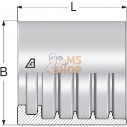 Jupe à sertir Ø29x30,5mm DN13 acier / zingué Alfagomma | ALFAGOMMA Jupe à sertir Ø29x30,5mm DN13 acier / zingué Alfagomma | ALFA