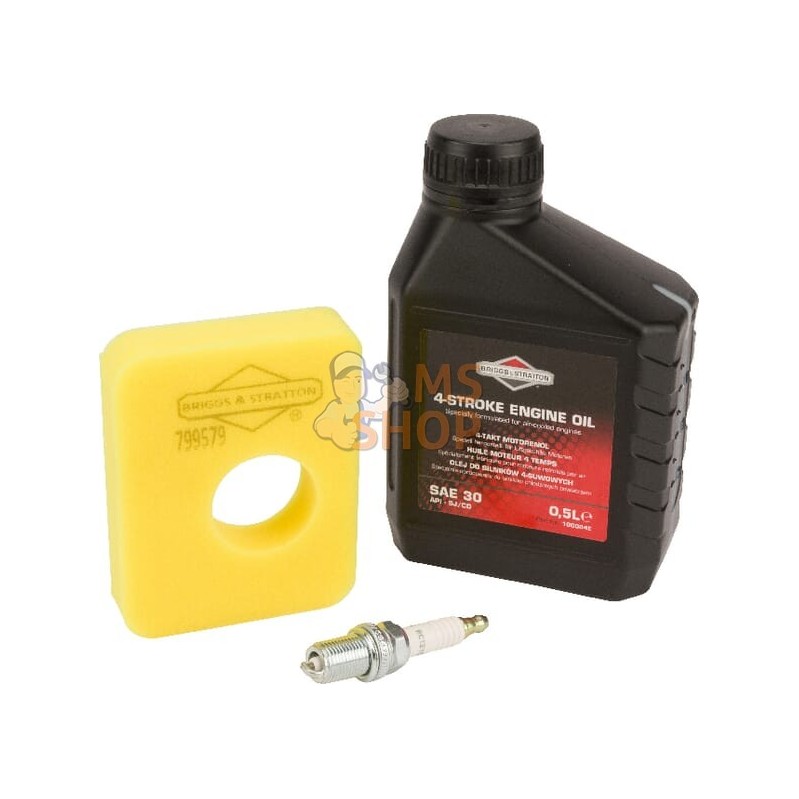 Kit entretien série 450E, 500E | BRIGGS & STRATTON Kit entretien série 450E, 500E | BRIGGS & STRATTONPR#26521