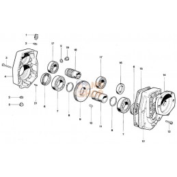 Boite d'engrenage | BORELLI Boite d'engrenage | BORELLIPR#909245