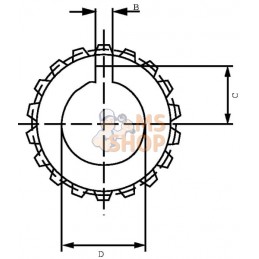 Manchon acc. GR3 Z23 1:8 | BORELLI Manchon acc. GR3 Z23 1:8 | BORELLIPR#917671