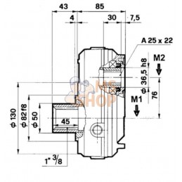 Multiplicateur pour pompe GR.2 1:3,5 | BORELLI Multiplicateur pour pompe GR.2 1:3,5 | BORELLIPR#909202