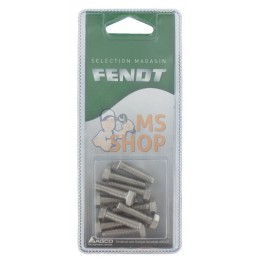 Vis hexagon M6x25 inox (10x) | FENDT BLISTER Vis hexagon M6x25 inox (10x) | FENDT BLISTERPR#1087344