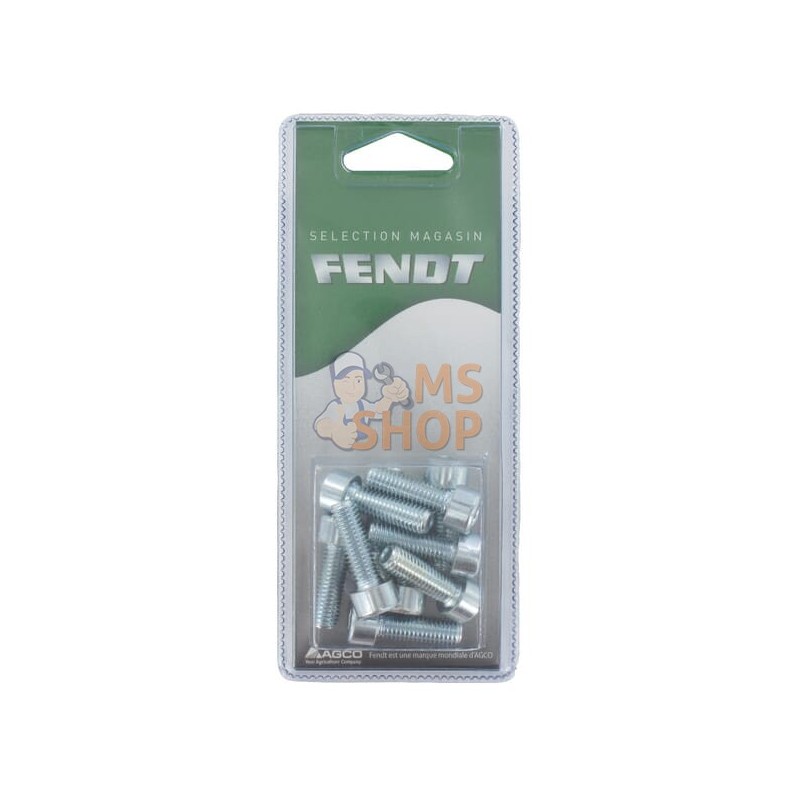 Boulon à tête hexagonale M8x25 8.8 (10x) | FENDT BLISTER Boulon à tête hexagonale M8x25 8.8 (10x) | FENDT BLISTERPR#1087485