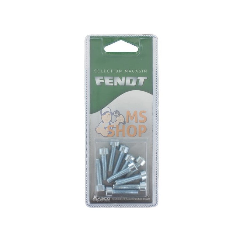 Boulon à tête hexagonale M6x25 8.8 (10x) | FENDT BLISTER Boulon à tête hexagonale M6x25 8.8 (10x) | FENDT BLISTERPR#1087503