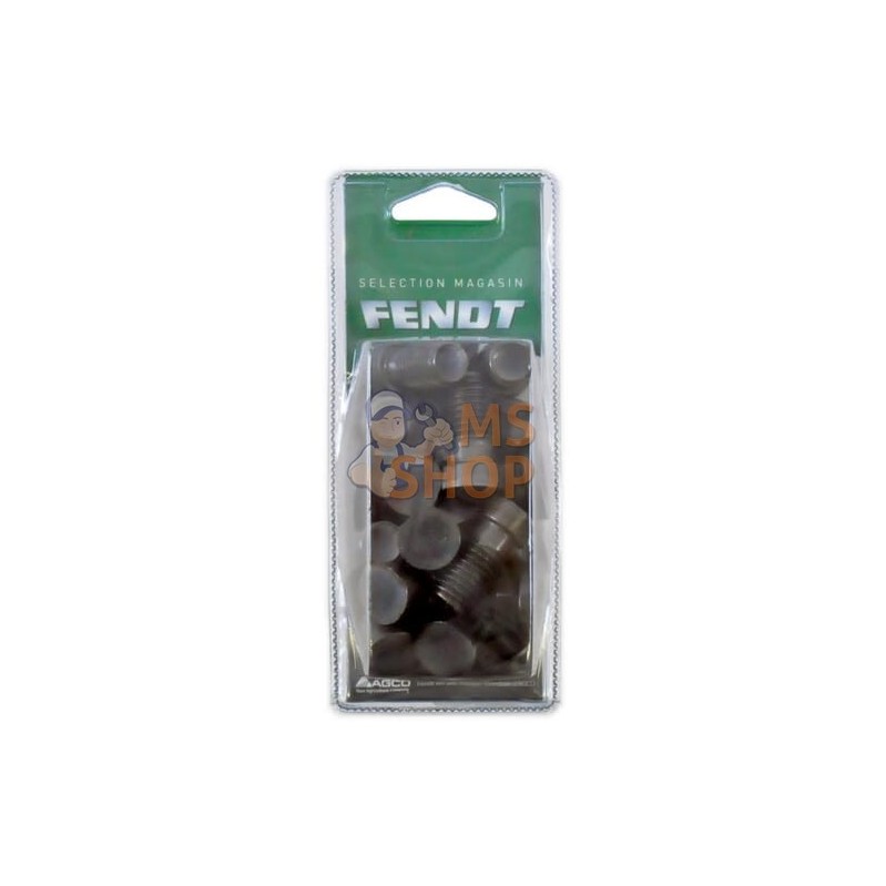 Boulon plat 1côté M14x34(12x) | FENDT BLISTER Boulon plat 1côté M14x34(12x) | FENDT BLISTERPR#1087595