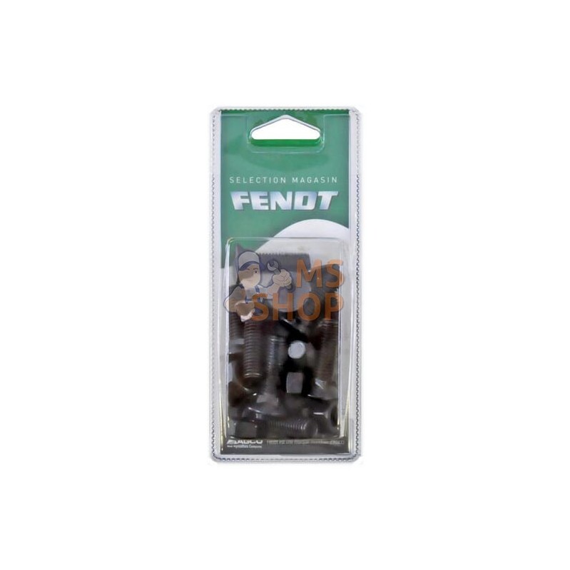 Boulon TFCC M10x35 (12x) | FENDT BLISTER Boulon TFCC M10x35 (12x) | FENDT BLISTERPR#1087597