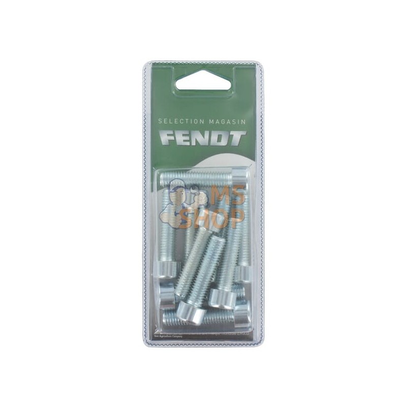 Boulon à tête hexagonale M10x40 8.8(10x) | FENDT BLISTER Boulon à tête hexagonale M10x40 8.8(10x) | FENDT BLISTERPR#1087755