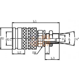 Coupleur femelle 1/2-M24x1,5 | DNP Coupleur femelle 1/2-M24x1,5 | DNPPR#780507