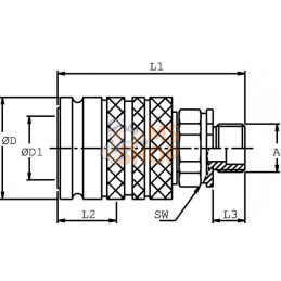 Coupleur femelle 1/2-3/8 BSP | DNP Coupleur femelle 1/2-3/8 BSP | DNPPR#780513