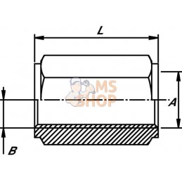 Douille hexagonale 1/4 BSP | BURNETT & HILLMAN Douille hexagonale 1/4 BSP | BURNETT & HILLMANPR#661416