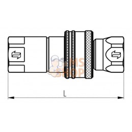 Coupleur à clapet mâle 3/4 BSP | FASTER | FASTER Coupleur à clapet mâle 3/4 BSP | FASTER | FASTERPR#781226