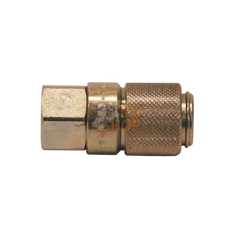 Union de mesure fem.plat 1/8 NPT | FASTER Union de mesure fem.plat 1/8 NPT | FASTERPR#923801