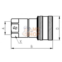 Coupleur femelle 1/2 BSP | FASTER Coupleur femelle 1/2 BSP | FASTERPR#781558