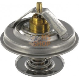 Thermostat | FENDT Thermostat | FENDTPR#852427