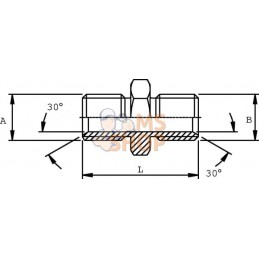 Adaptateur double M/M-BSP 3/8 | BURNETT & HILLMAN Adaptateur double M/M-BSP 3/8 | BURNETT & HILLMANPR#661429