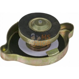 Radiator cap | GOPART Radiator cap | GOPARTPR#980295