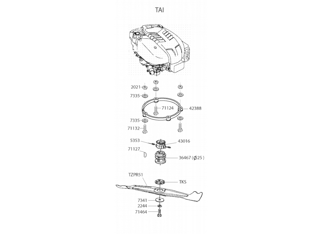 5 - MOTEUR | TAI